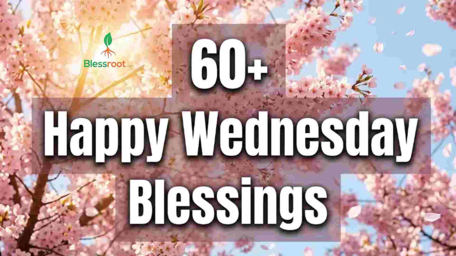 60-happy-wednesday-blessings-prayers-quotes-wishes-images