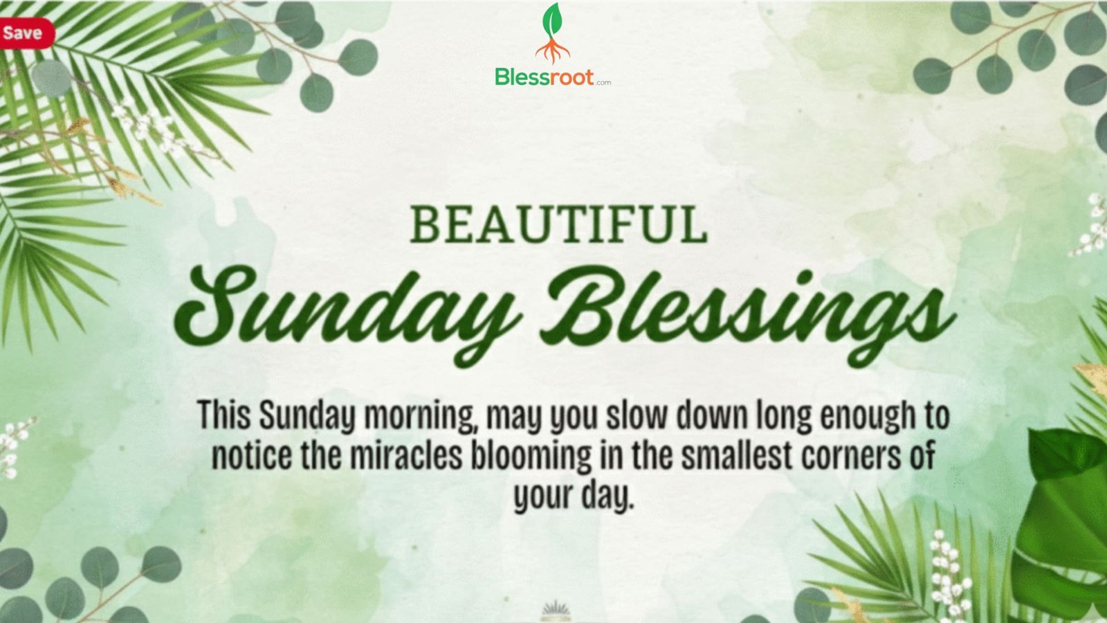 110-happy-sunday-blessings-quotes-wishes-for-2026