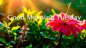 80-tuesday-morning-blessings-quotes-prayers-2026