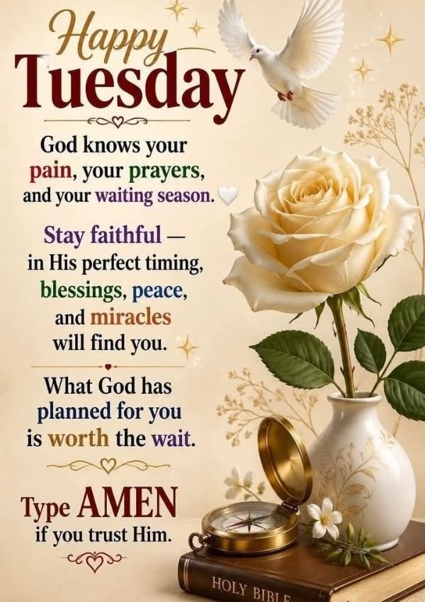 150-happy-tuesday-blessings-prayers-beautiful-images